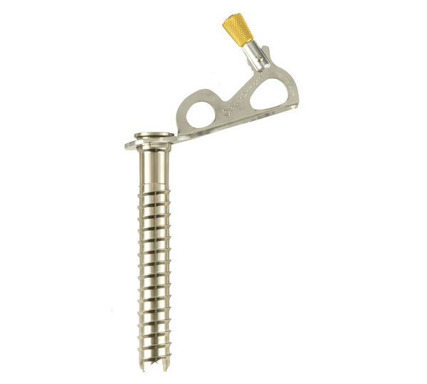 Black Diamond Express Ice Screw - Ascent Outdoors LLC